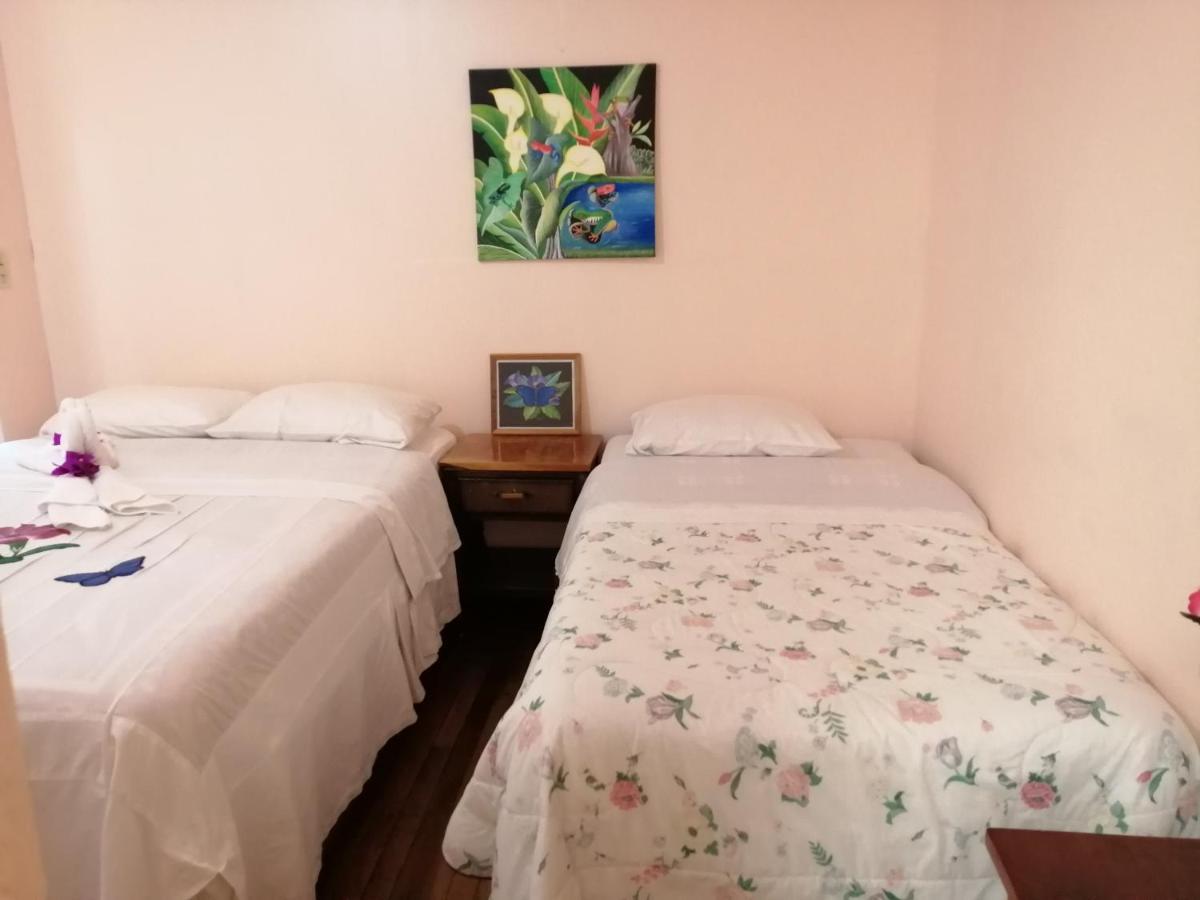 Monte Los Lirios Lodge Monteverde Ngoại thất bức ảnh