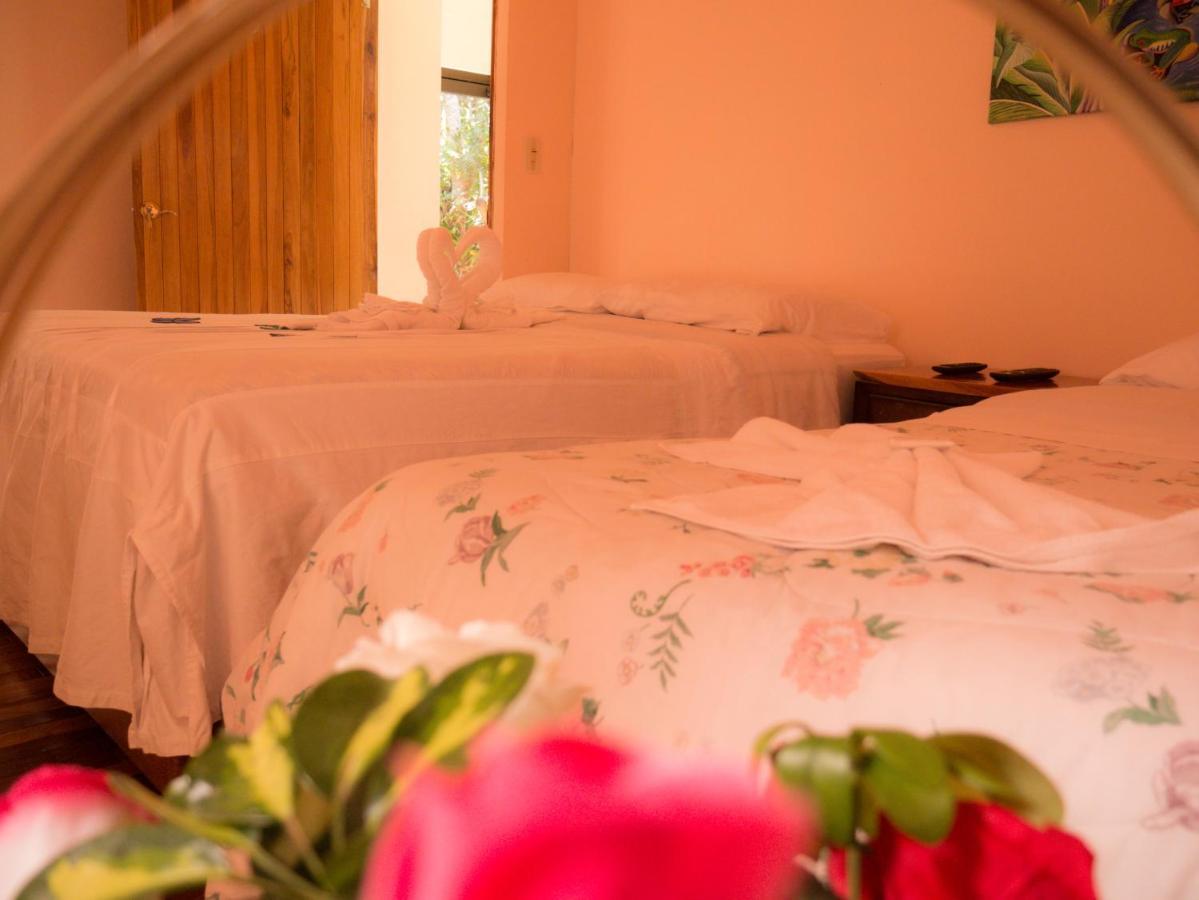 Monte Los Lirios Lodge Monteverde Ngoại thất bức ảnh