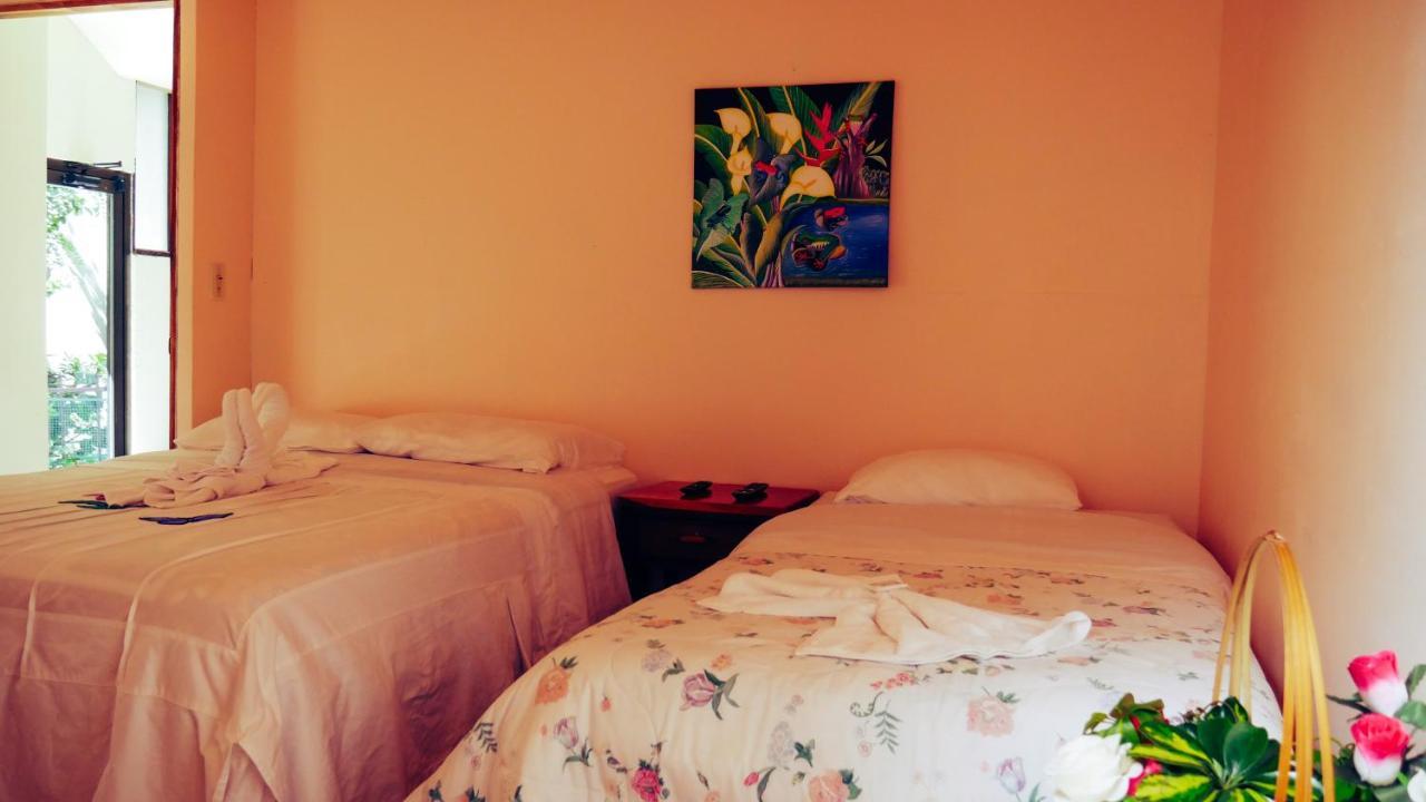 Monte Los Lirios Lodge Monteverde Ngoại thất bức ảnh